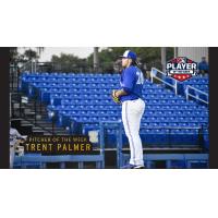 Dunedin Blue Jays pitcher Trent Palmer