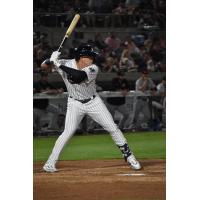 Gio Urshela at bat for the Somerset Patriots