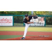 Southern Illinois Miners pitcher Stevie Ledesma