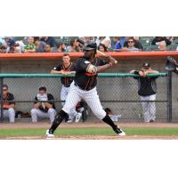 Vladimir Frias at bat for the Long Island Ducks