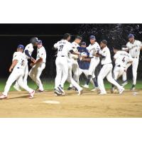 Tri-City Dust Devils celebrate a win