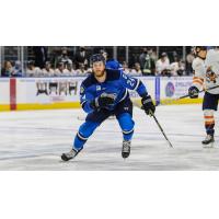 Jacksonville Icemen forward Travis Howe