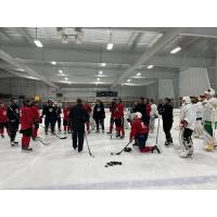 Vermilion County Bobcats free agent camp