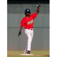 Diego Hernandez of the Columbia Fireflies