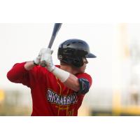 Kale Emshoff of the Columbia Fireflies