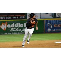Daniel Fields of the Long Island Ducks