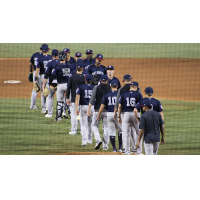 Somerset Patriots offer congratulations after a win