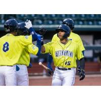 Juan Carlos Negret of the Columbia Fireflies