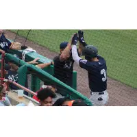 Oswaldo Cabrera of the Somerset Patriots received a double high five