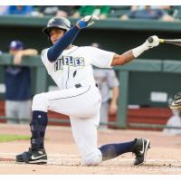 Herard Gonzalez of the Columbia Fireflies