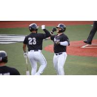 Jared Mang of the Southern Illinois Miners celebrates