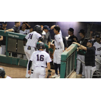 Michael Beltre and Oswaldo Cabrera of the Somerset Patriots
