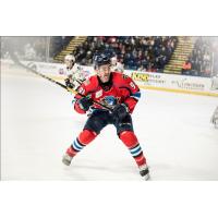Forward Patrick Bajkov with the Springfield Thunderbirds