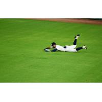 Charleston RiverDogs complete a diving catch in the outfield