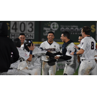 Somerset Patriots celebrate Michael Beltre's walk-off hit