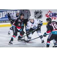 Kelowna Rockets vs. the Victoria Royals