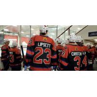 Odessa Jackalopes prepare to hit the ice