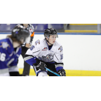 Victoria Royals left wing Carter Briltz