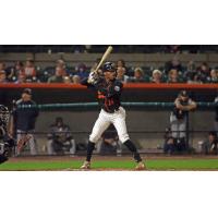 Johnni Turbo of the Long Island Ducks at bat