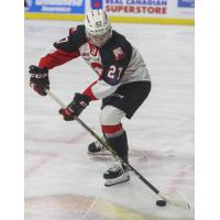 Riley Heidt of the Prince George Cougars