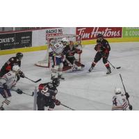 Prince George Cougars goaltender Tyler Brennan makes a stop against the Kamloops Blazers