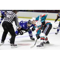 Kelowna Rockets face off with the Victoria Royals