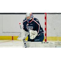 Tri-City Americans goaltender Tomas Suchanek