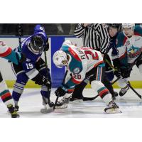 Kelowna Rockets face off with the Victoria Royals