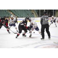 Prince George Cougars battle the Kamloops Blazers