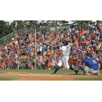 Former St. Cloud Rox outfielder TJ Friedl