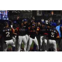 High Point Rockers celebrate a win
