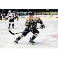Forward Vladislav Mikhalchuk with the Wheeling Nailers