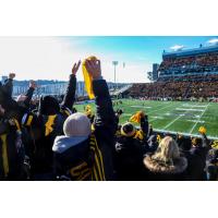 Hamilton Tiger-Cats fans enjoy a game at Tim Hortons Field