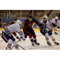 Vancouver Giants centre Adam Hall vs. the Kamloops Blazers