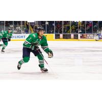 Defenseman Brandon Fortunato with the Florida Everblades