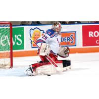 Jordan DeKort with the Kitchener Rangers