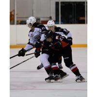 Prince George Cougars right wing Liekit Reichle vs. the Vancouver Giants