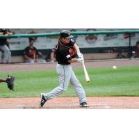 Ty Kelly of the Long Island Ducks