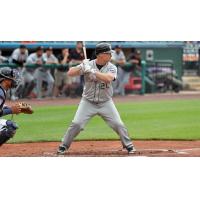Lew Ford at bat for the Long Island Ducks
