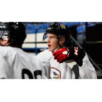 Portland Winterhawks defenseman Ryan McCleary