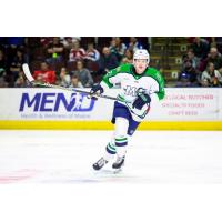 Maine Mariners forward Conner Bleackley