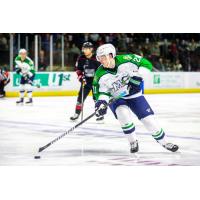 Maine Mariners forward Conner Bleackley