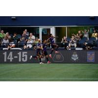Seattle Sounders FC celebrate a goal