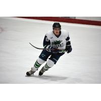 North Iowa Bulls defenseman Jack Mesic
