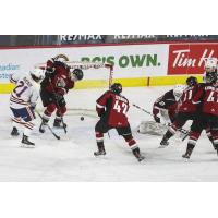 Defenceman Marko Stacha with the Vancouver Giants