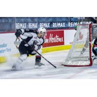 Defenceman Marko Stacha with the Vancouver Giants