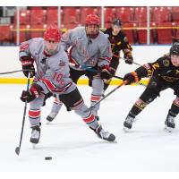 New Jersey Titans forward Tommy Bannister handles the puck