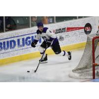 Tri-City Storm forward Gavin Brindley