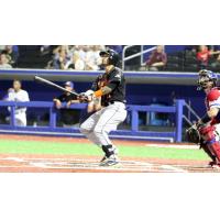 L.J. Mazzilli of the Long Island Ducks