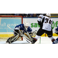 Victoria Royals goaltender Tyler Palmer